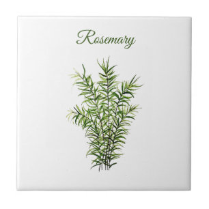 Carreau Rosemary Herb Greenery Cuisine culinaire Vert chic