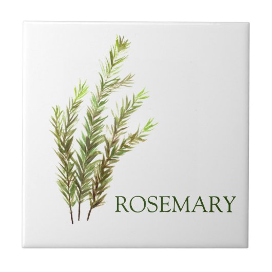 Carreau Rosemary Herbs Green Cuisine Vintage verte (Devant)