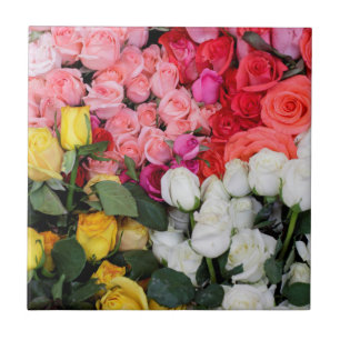 Carreau Roses à vendre, San Miguel de Allende, Mexique