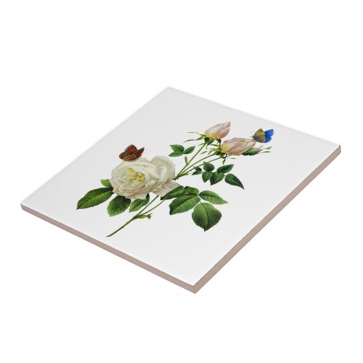 Carreau Roses blanches et papillons par Redoute (Côté)