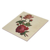 Carreau Roses botaniques vintages (Côté)