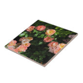 Carreau Roses de dérive de la pêche (Côté)