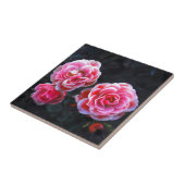 Carreau Roses de janvier (Côté)