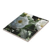 Carreau Roses de thé blanches (Côté)