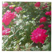Carreau Roses fuchsia partout (Devant)