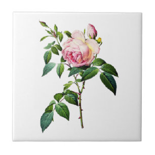Carreau Roses roses de Redoute