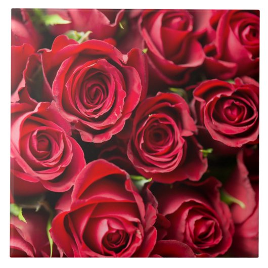 Carreau Roses rouges (Devant)