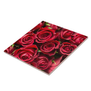 Carreau Roses rouges