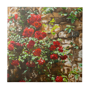 Carreau Roses rouges contre un mur de pierre