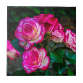 Carreau Roses rouges et blancs (Devant)