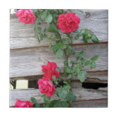 Carreau Rosier s'élevant (Devant)