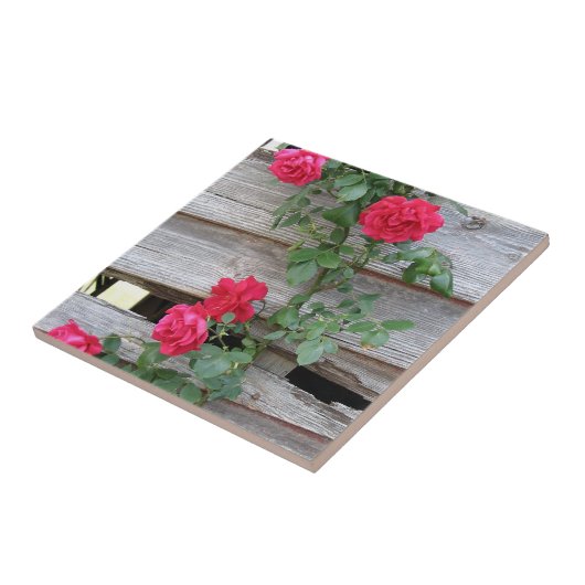 Carreau Rosier s'élevant (Côté)