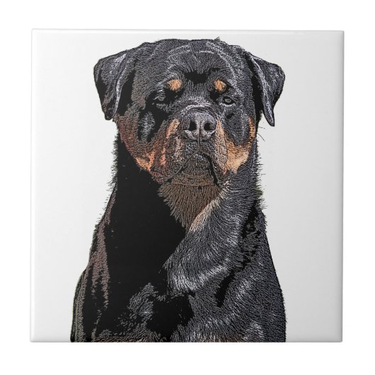 Carreau Rottweiler (Devant)