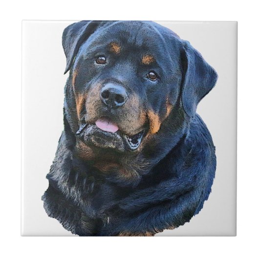 Carreau Rottweiler (Devant)
