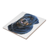 Carreau Rottweiler (Côté)