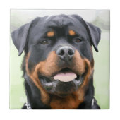 Carreau rottweiler (Devant)