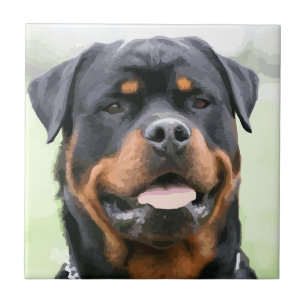 Carreau rottweiler