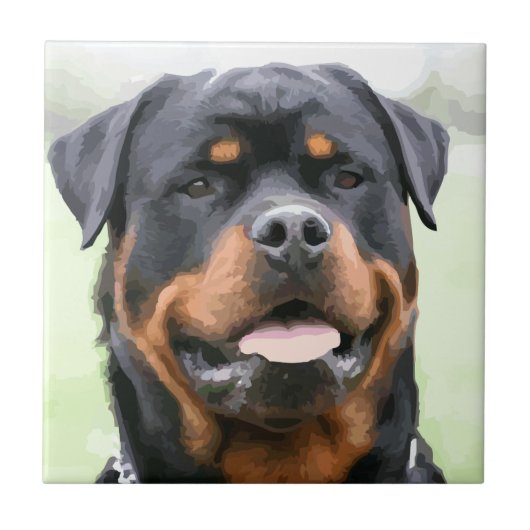 Carreau rottweiler (Devant)