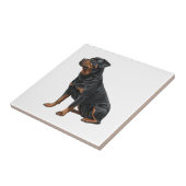 Carreau Rottweiler (Côté)