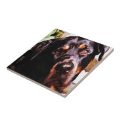 Carreau Rottweiler Artistic Pet (Côté)
