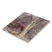 Carreau Roue (Côté)