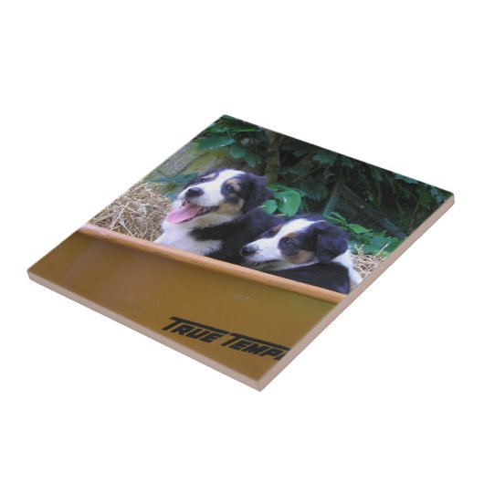 Carreau Roue (Côté)