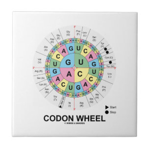 Carreau Roue de codon (acides aminés de codons d'ARN)