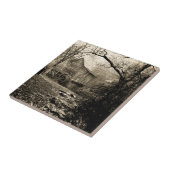 Carreau Roue vintage (Côté)