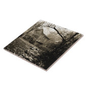 Carreau Roue vintage (Côté)