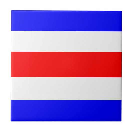 Carreau Rouge bleu Charlie (Devant)