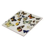 Carreau ROUGE JAUNE BLEU BLANC BUTTERFLIES Beauté Nature (Côté)