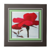 Carreau rouge rose (Devant)