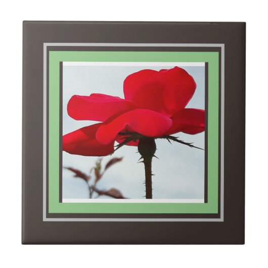 Carreau rouge rose (Devant)