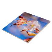 Carreau Rouge Sakura bleu ciel (Côté)