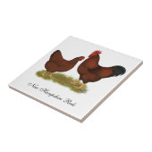 Carreau Rouges du New Hampshire (Côté)