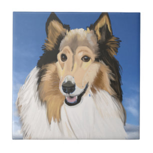 Carreau Rough Collie Portrait contre le ciel bleu
