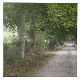 Carreau Route de campagne en terre près de la ville de