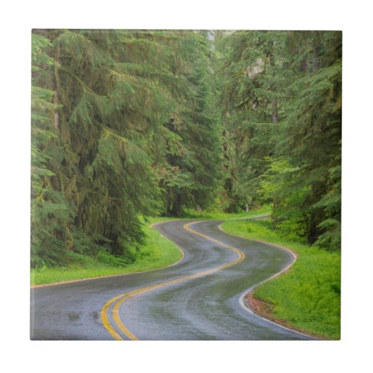 Carreau Route de la rivière Sol Duc à travers la forêt (Devant)