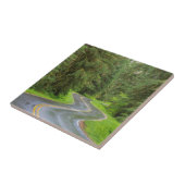 Carreau Route de la rivière Sol Duc à travers la forêt (Côté)
