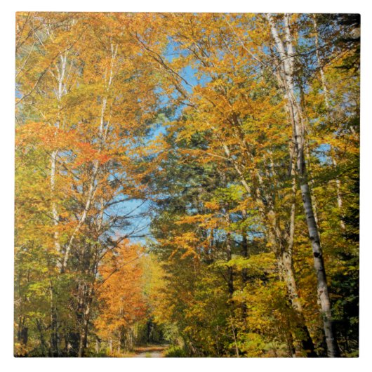 Carreau Route rurale Automne Colonnes New Hampshire (Devant)