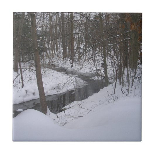Carreau "Ruban d'hiver" (Devant)