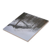 Carreau "Ruban d'hiver" (Côté)