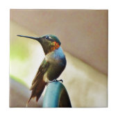 Carreau Ruby perché et petit colibri vert (Devant)