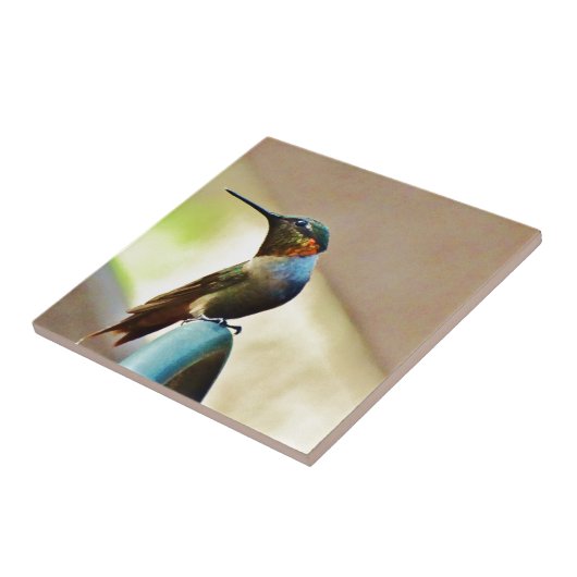 Carreau Ruby perché et petit colibri vert (Côté)