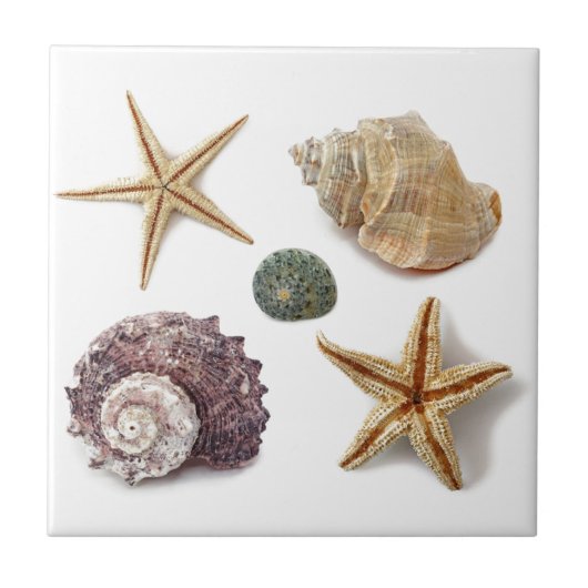 Carreau ruc coastal beach chic seashell starfish (Devant)