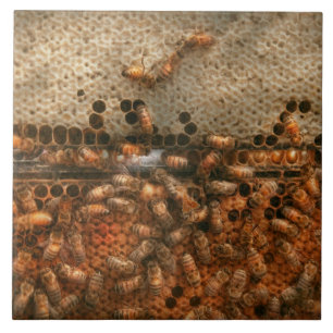 Carreau Rucher - Abeilles - Douce réussite