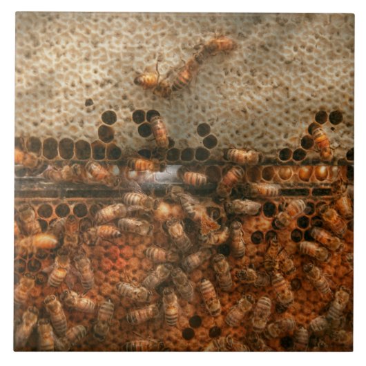 Carreau Rucher - Abeilles - Douce réussite (Devant)