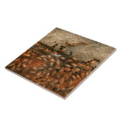 Carreau Rucher - Abeilles - Douce réussite (Côté)