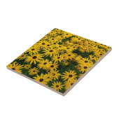 Carreau Rudbeckia Hirta (Susans aux yeux noirs) (Côté)