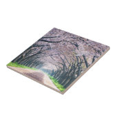 Carreau Ruelle de fleurs de cerisier (Côté)